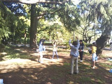 名残の花見ピクニック(気功&瞑想つき)@新宿御苑 After