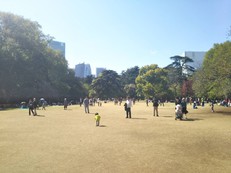 名残の花見ピクニック(気功&瞑想つき)@新宿御苑 Before