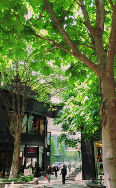 印可パーティー@丸の内 Before