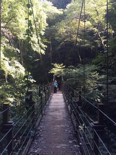 立川お茶会 番外編、高尾山に登ろう After
