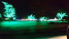 東北自覚お茶会 Before