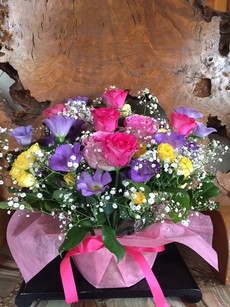 3月に印可をいただいた方達より、近況を語ってもらいました After