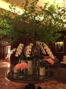 大阪ツアー Before