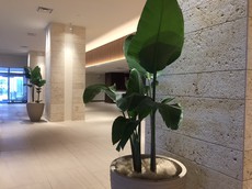 印可パーティー、その後 Before