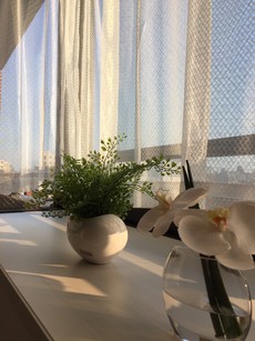 印可パーティー、その後【2】 After