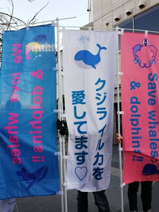 クジラ、イルカを愛しているパレード@浅草 Before
