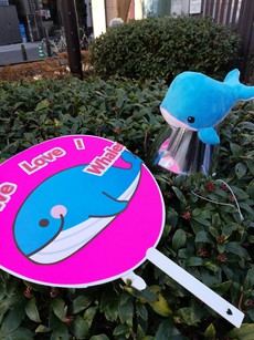 クジラ、イルカを愛しているパレード@浅草 After