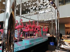 名古屋ツアー(2019年5月11日−5月15日) その2 After