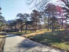 軽井沢ツアー(2019年12月1日−12月4日) その1 Before