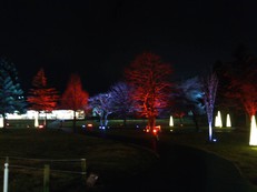 軽井沢ツアー(2019年12月1日−12月4日) その1 After