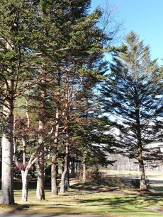 軽井沢ツアー(2019年12月1日−12月4日) その2 After