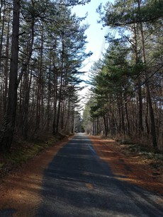 軽井沢ツアー(2019年12月1日−12月4日) その2 Before