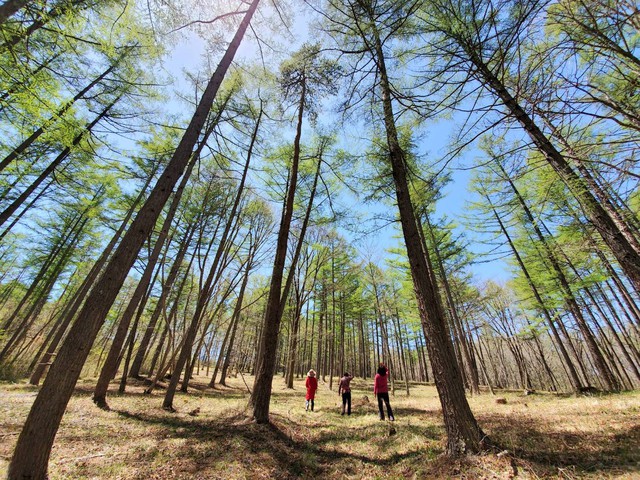 禅センターの風景~春~ After