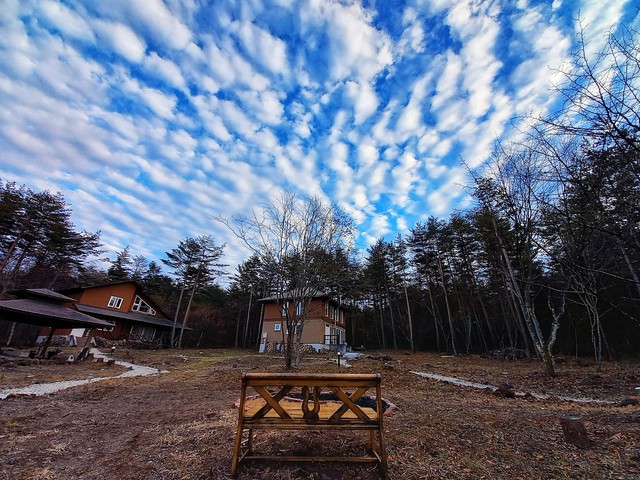 禅センターの風景~秋~ Before
