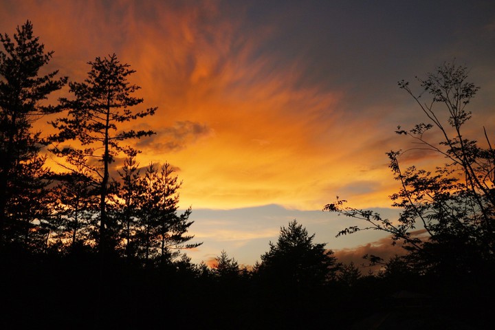 禅センターの風景~秋~ After
