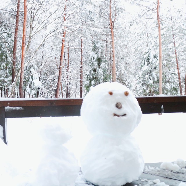 禅センターの風景~冬~ Before