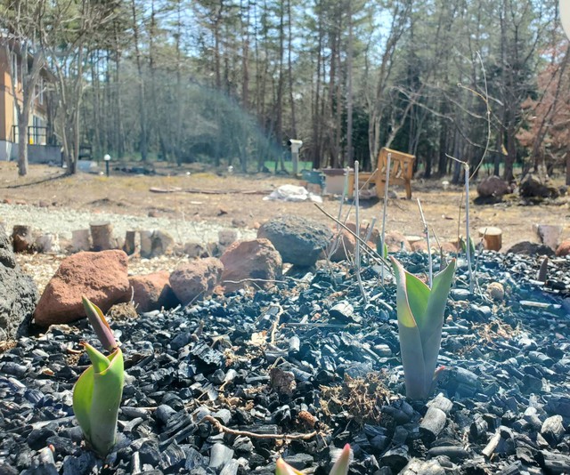 新しい季節の到来 イメージ