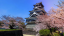 101キャンドルライト　大阪「桜ツアー」（一般参加用）20240513～0516
